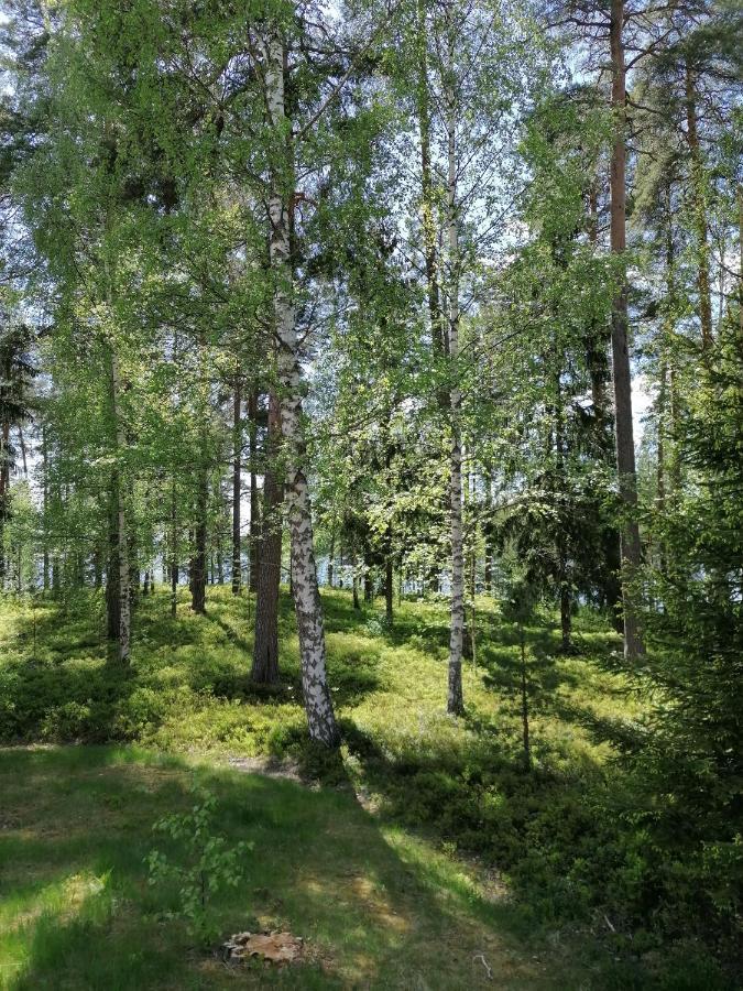 Birgittagarden - Gaesthem - Birgittasystrarna Bed and Breakfast Falun Exteriör bild